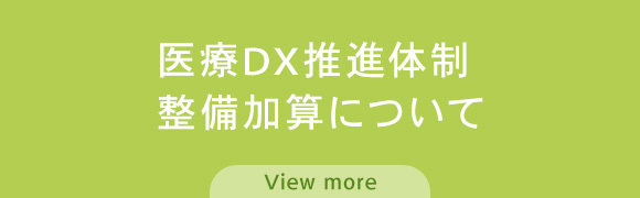 医療DX推進体制整備加算について
